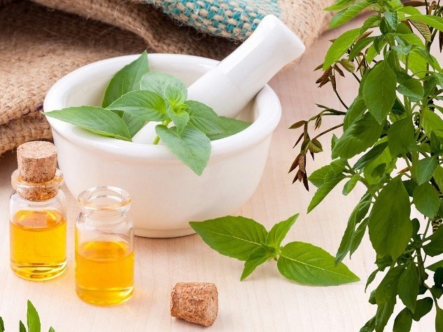 Kerala Wellness Image