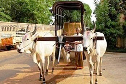 Palais De Mahe Image