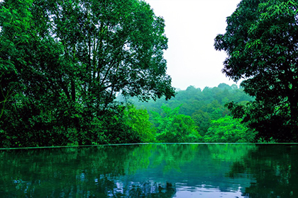 Spice village thekkady image