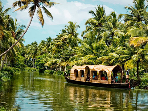 Timeless Kerrala Image