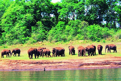 Best of Kerala Tour Image